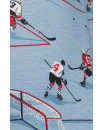 Boxer - DROPTEMP® HOCKEY HEROES